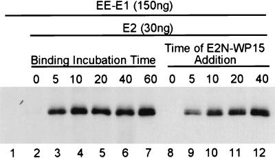 FIG. 7