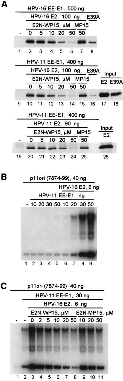 FIG. 6