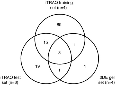 Fig. 5