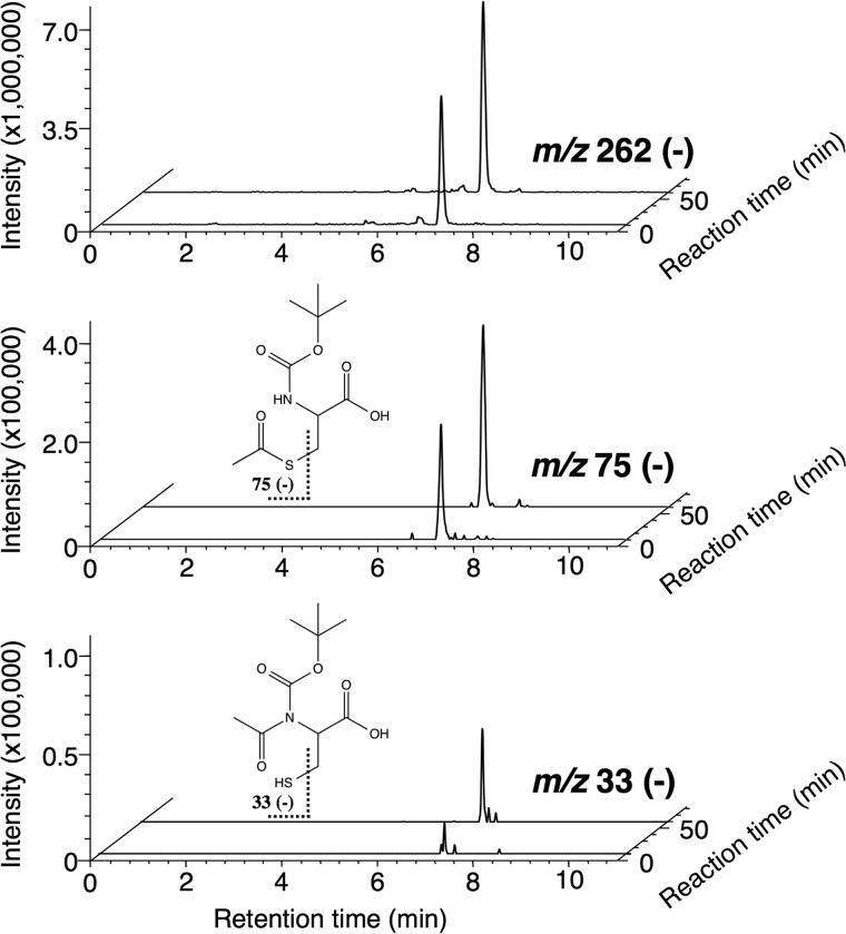 FIGURE 12.