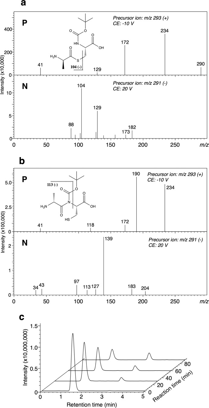 FIGURE 10.