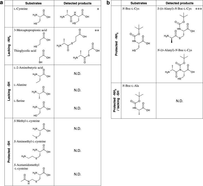 FIGURE 13.