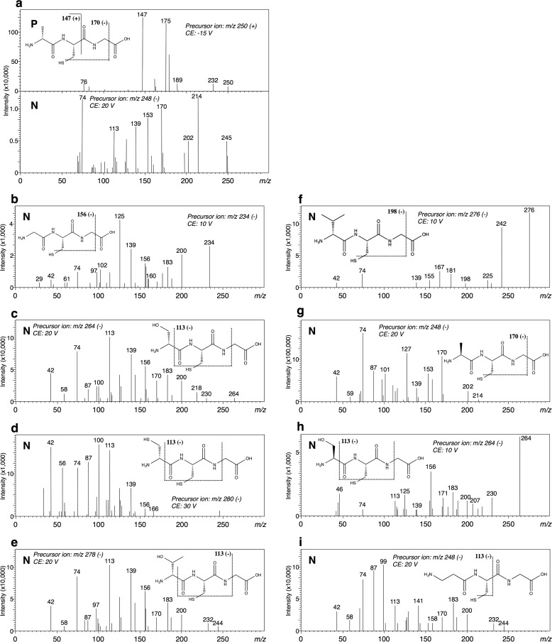 FIGURE 7.