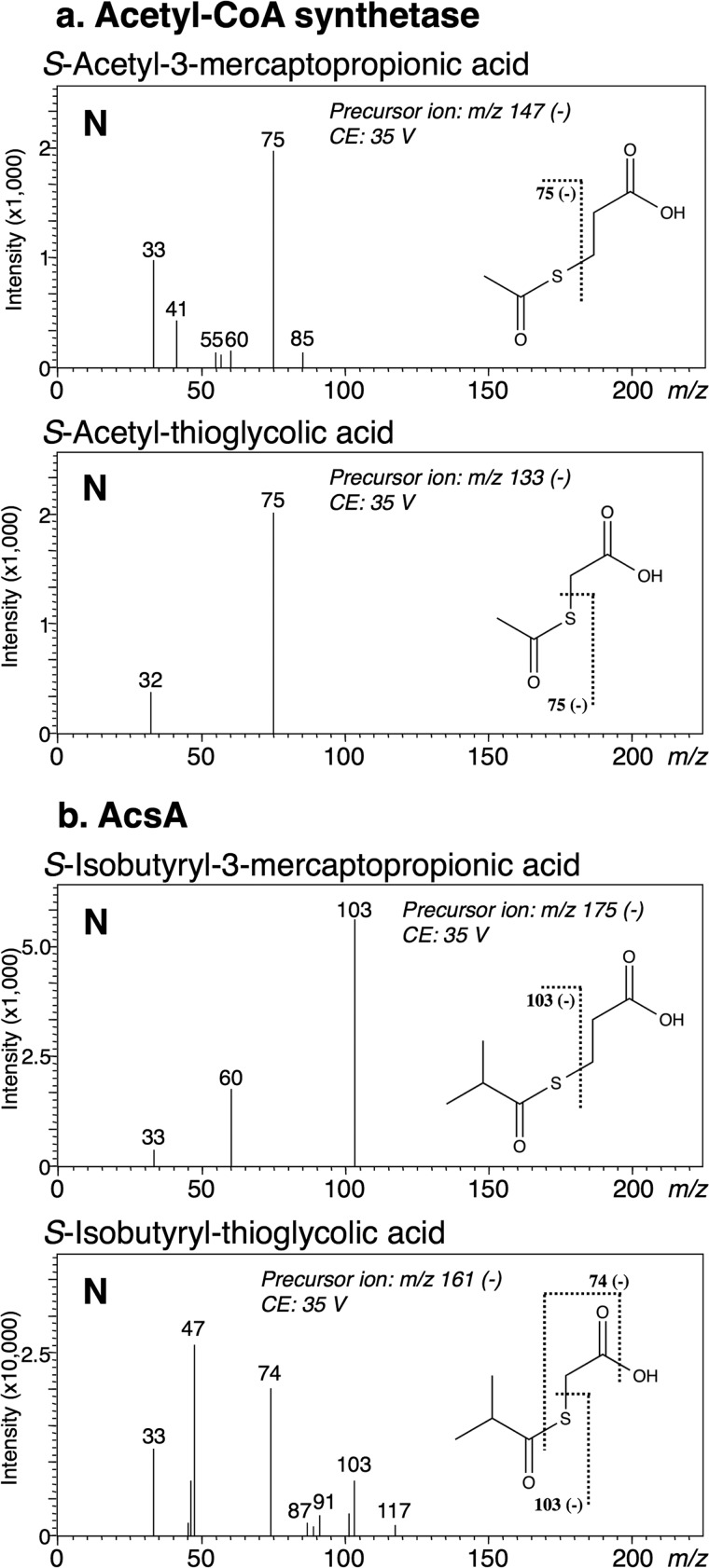 FIGURE 11.