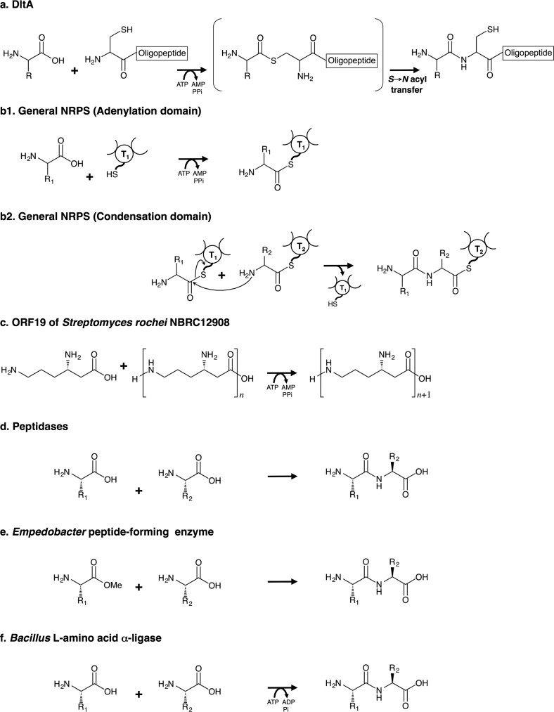 FIGURE 15.