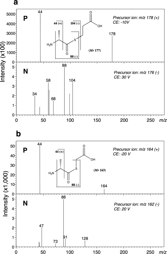 FIGURE 9.