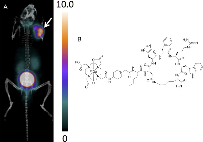 Figure 4.