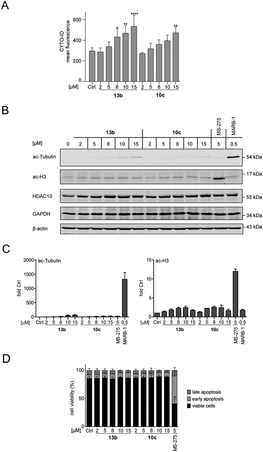 Figure 5: