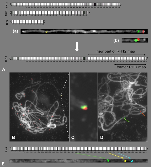 Fig. 3