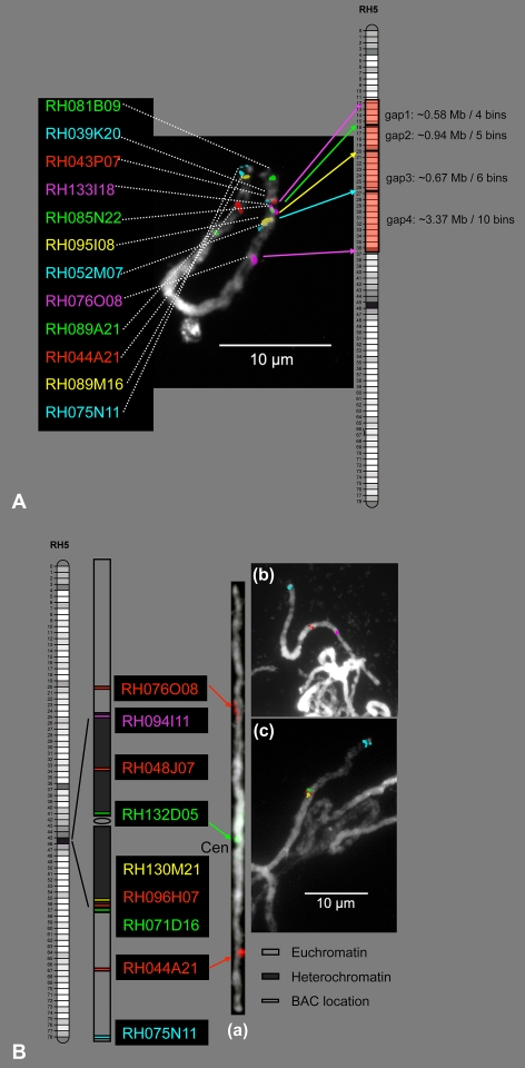 Fig. 4