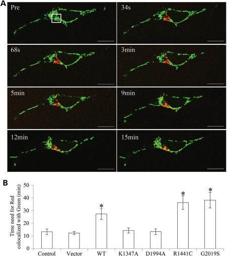 Figure 3.