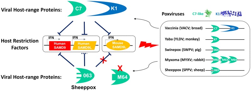 Fig 6