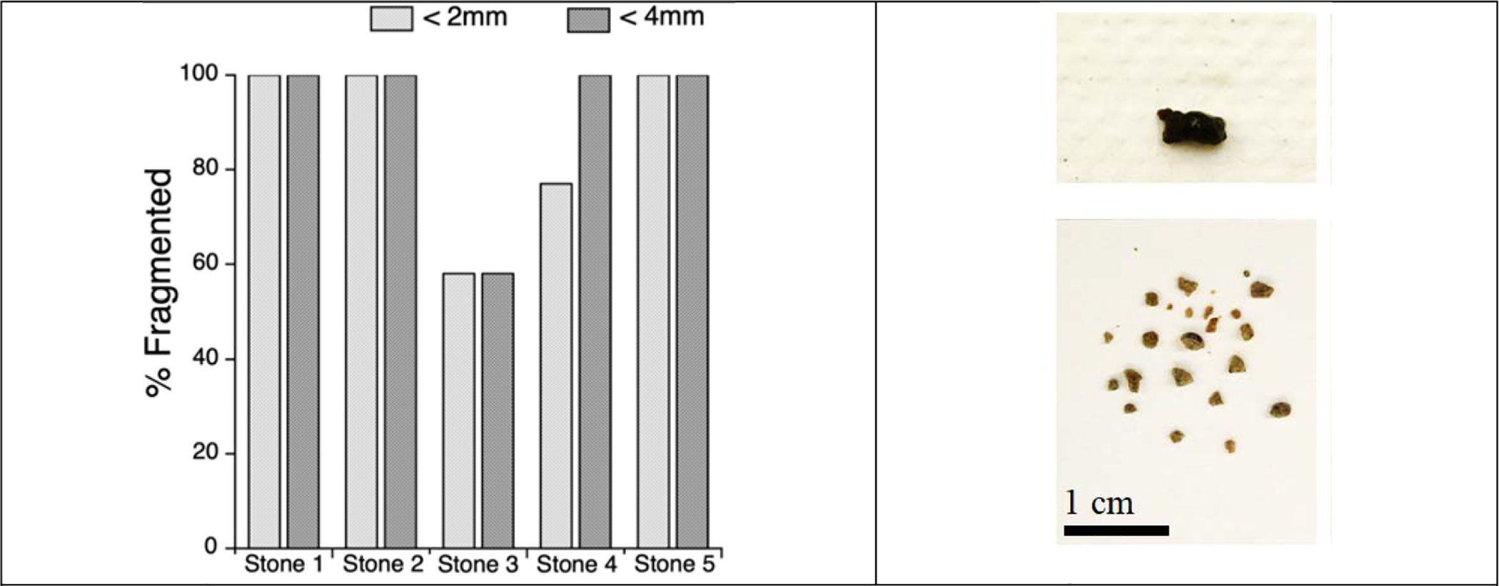 Figure 1: