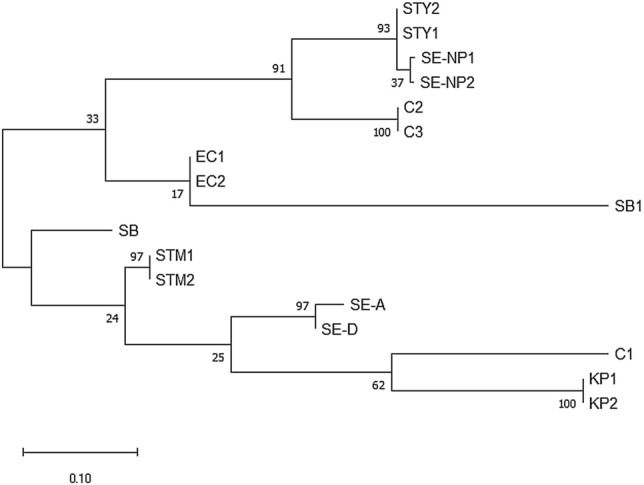 Figure 6