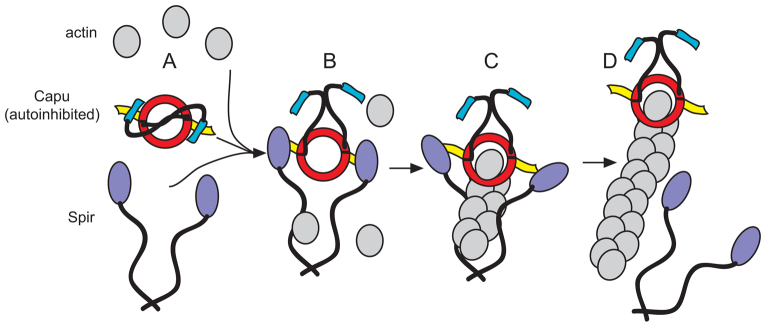 Fig. 5.