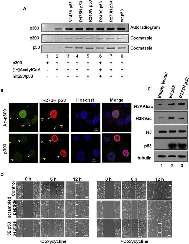 Figure 4