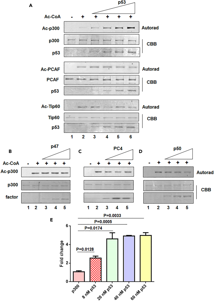 Figure 1