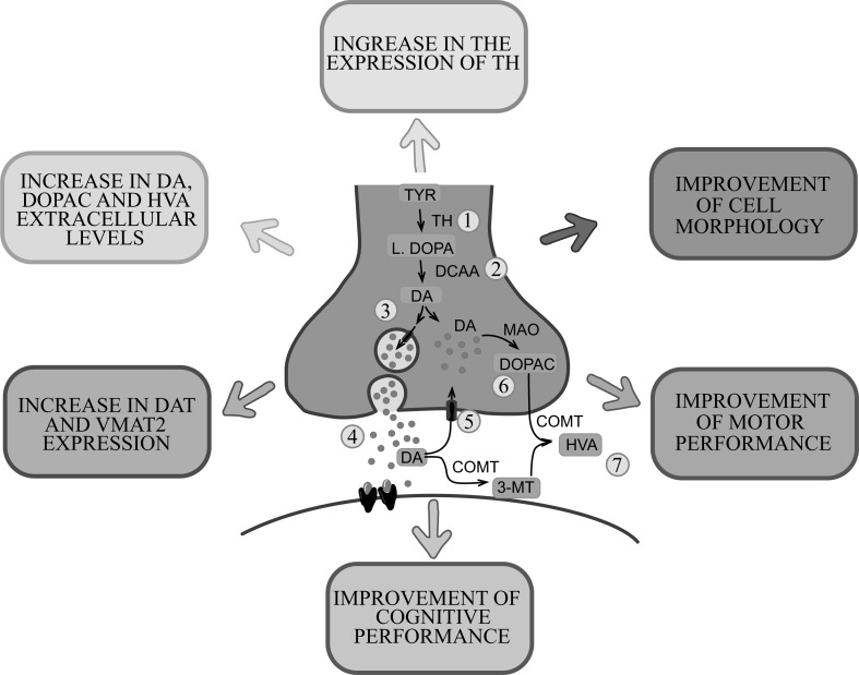 Fig. (4)