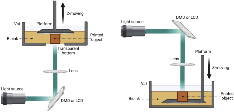 Figure 2