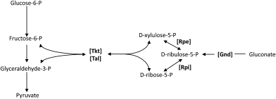 Fig. 2.