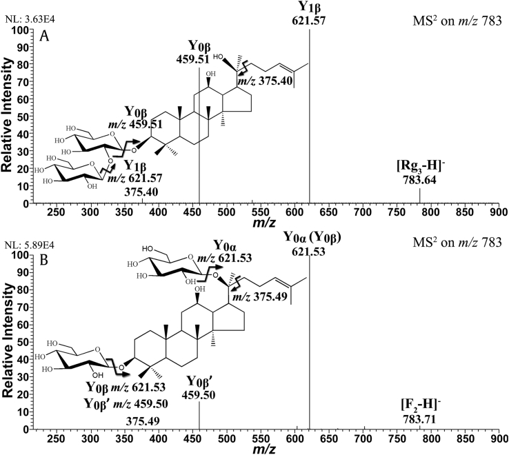 Fig. 4