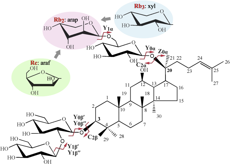 Fig. 1