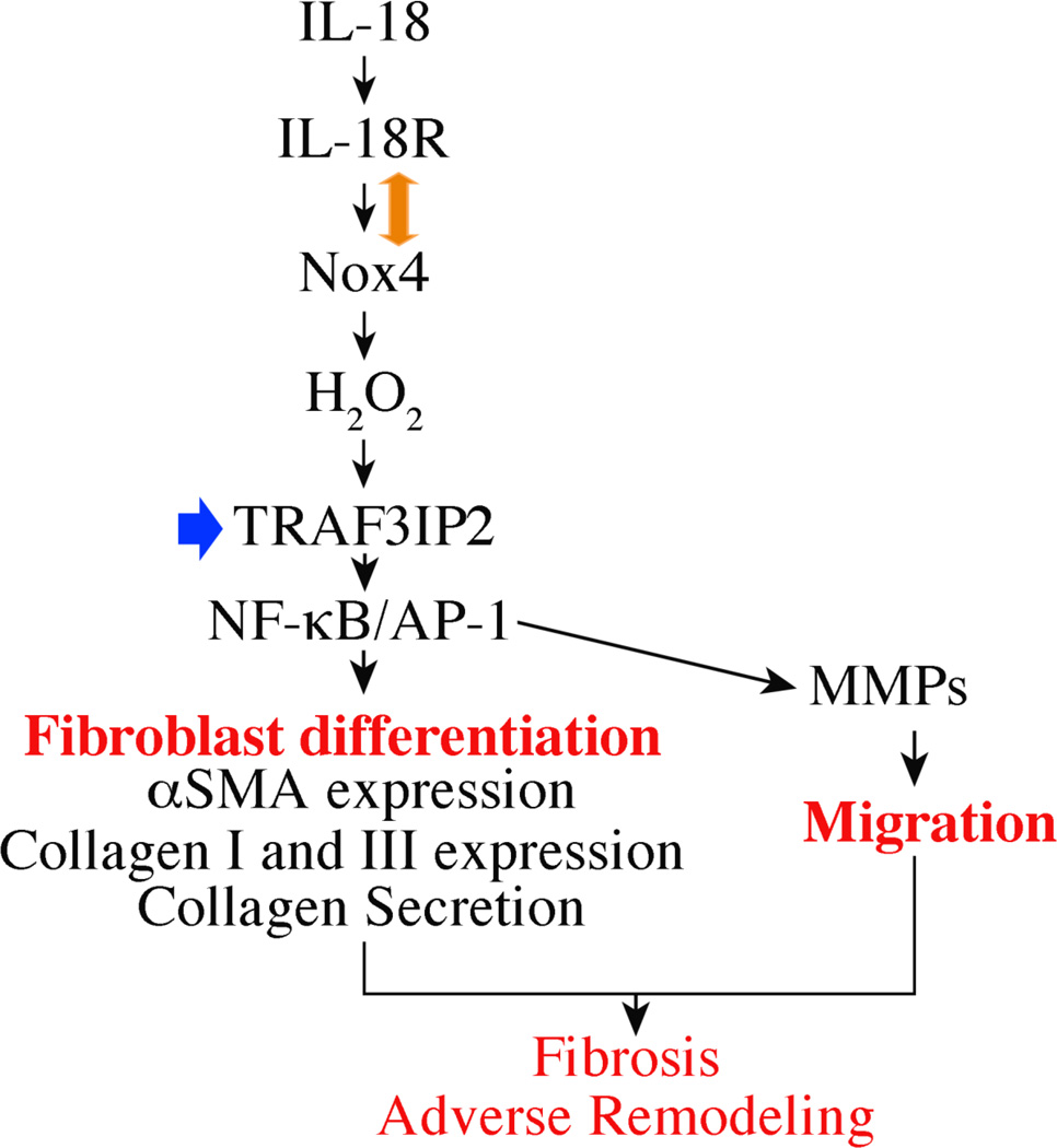 Fig. 8