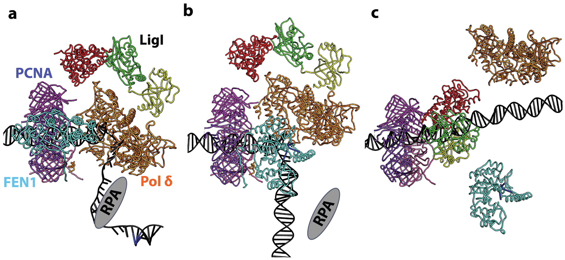 Fig. 8.