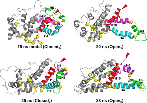 Figure 6