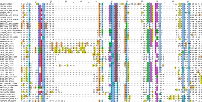 Figure 3—figure supplement 1.