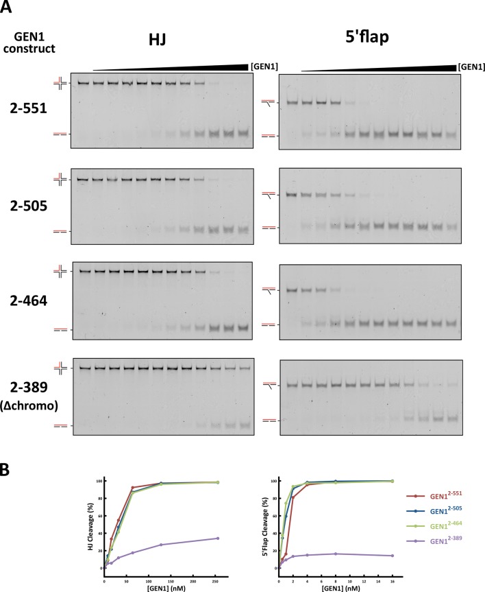 Figure 5—figure supplement 2.