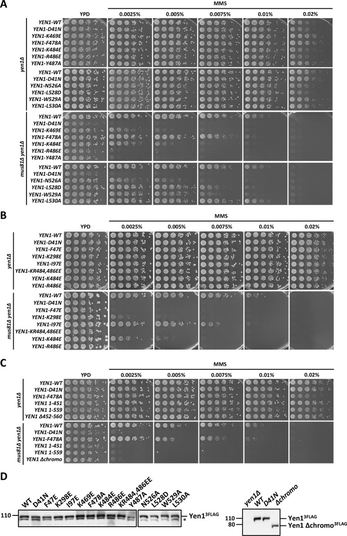 Figure 5—figure supplement 3.