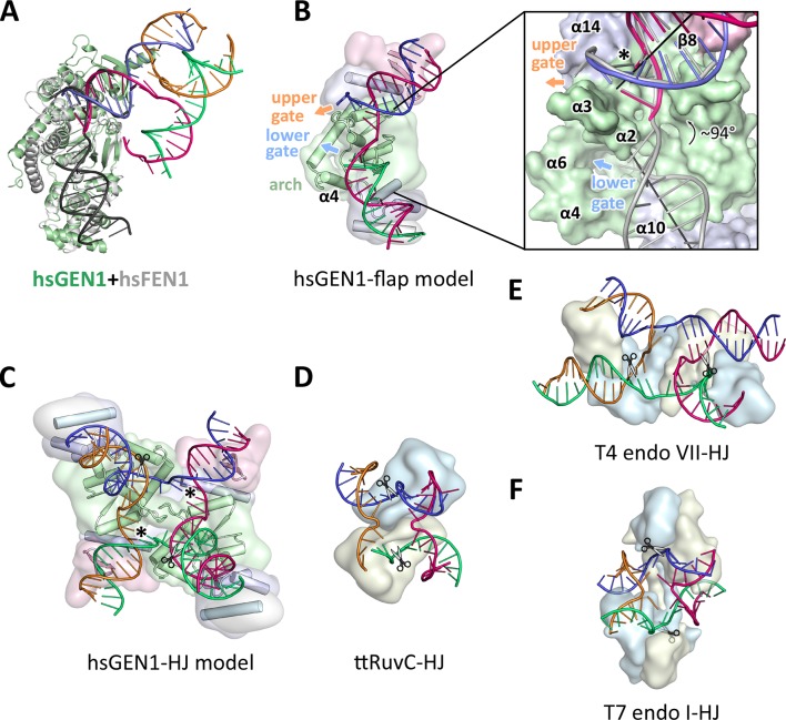 Figure 6.