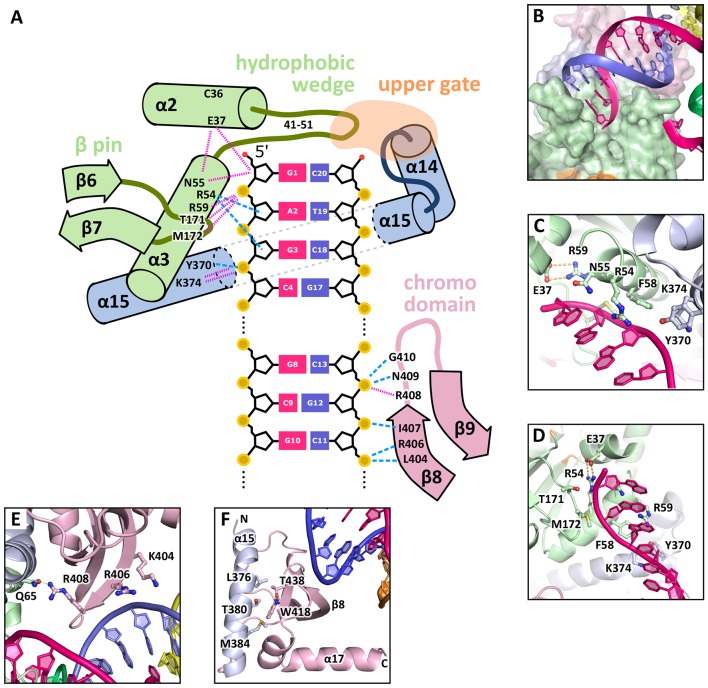 Figure 4.