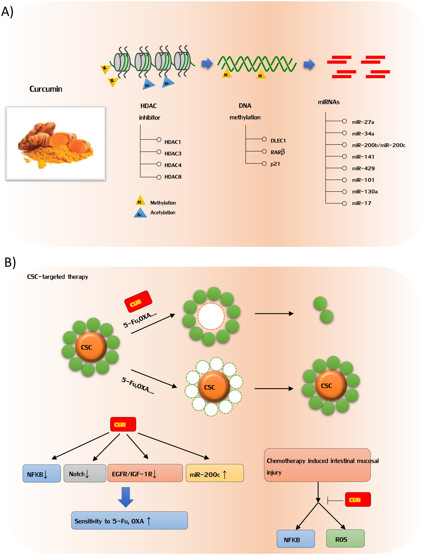 Figure 3: