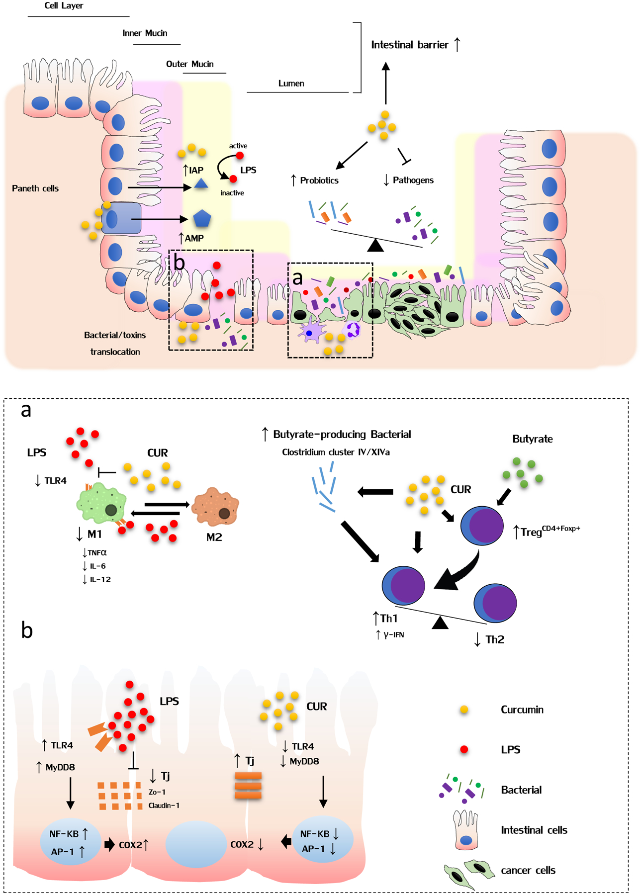 Figure 1: