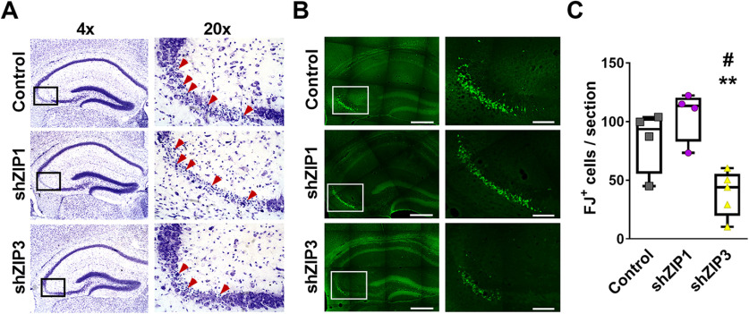 Figure 6.