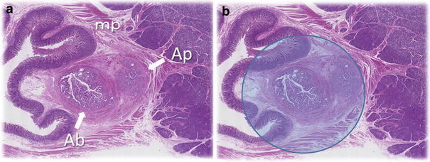 Fig. 1