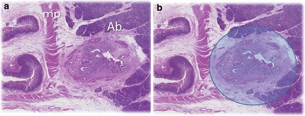 Fig. 2