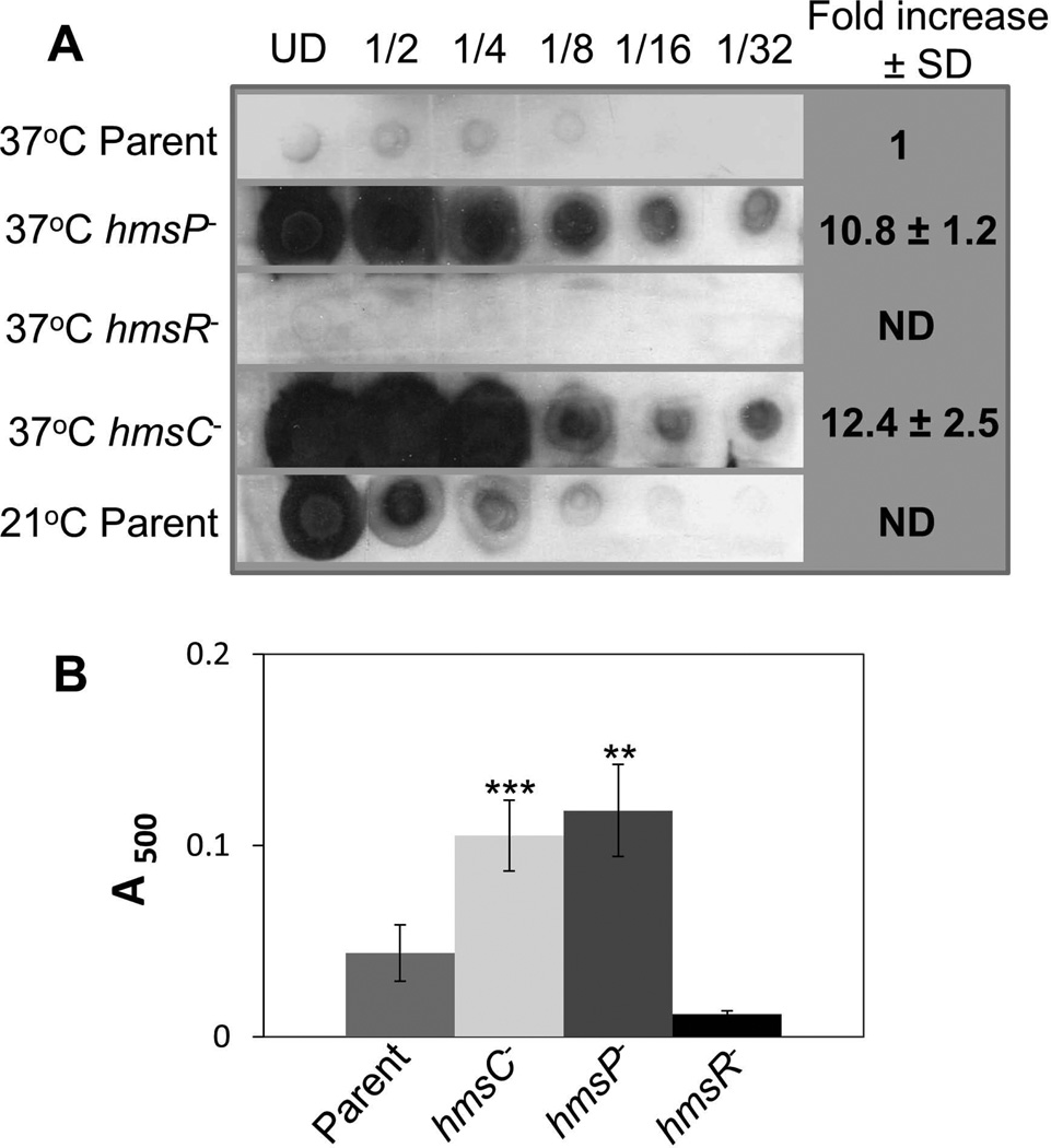 Fig. 6