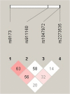 Fig. 3