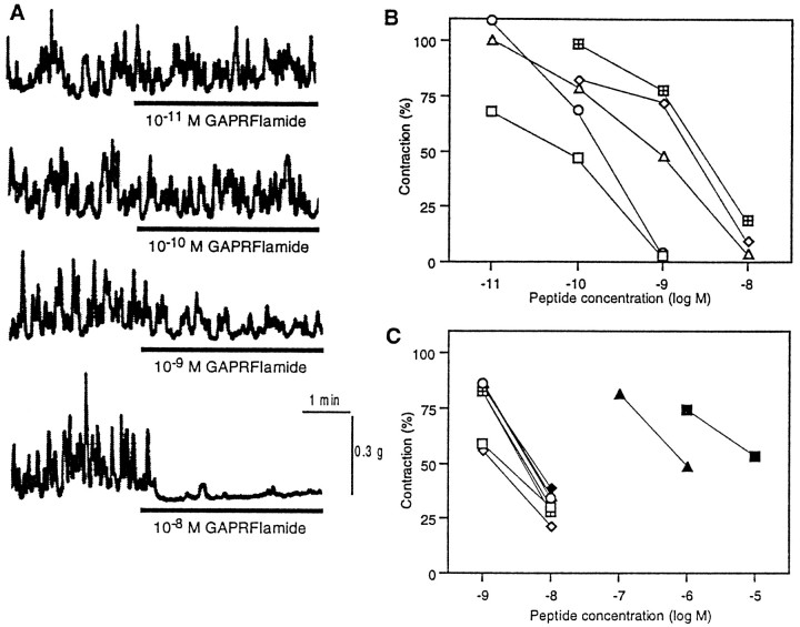 Fig. 13.