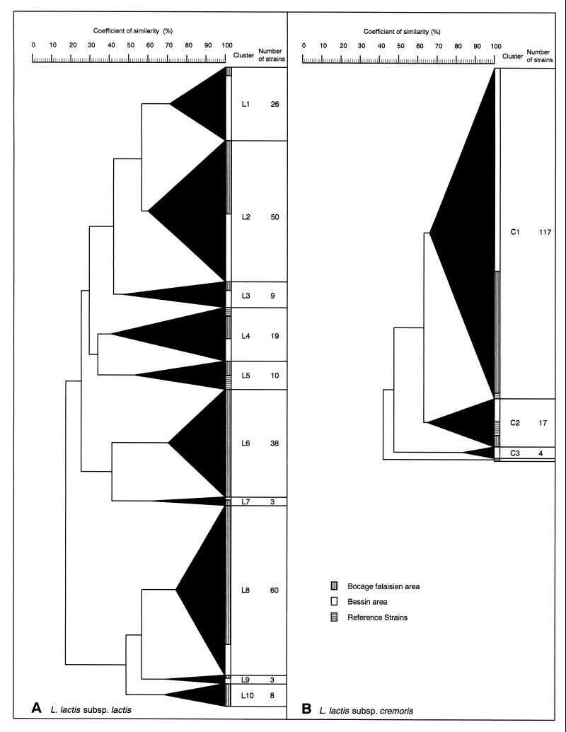 FIG. 1