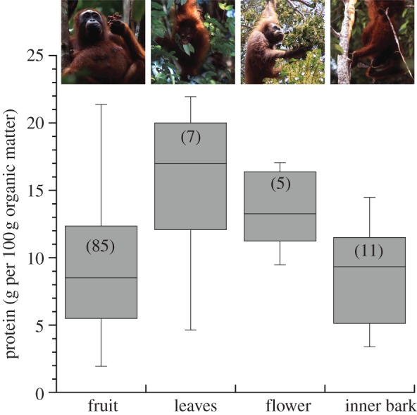 Figure 2.