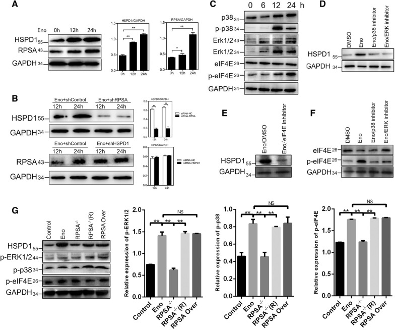 Figure  6