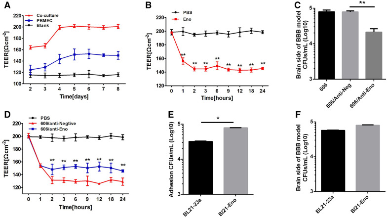 Figure  1