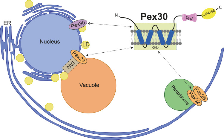 Figure 6.