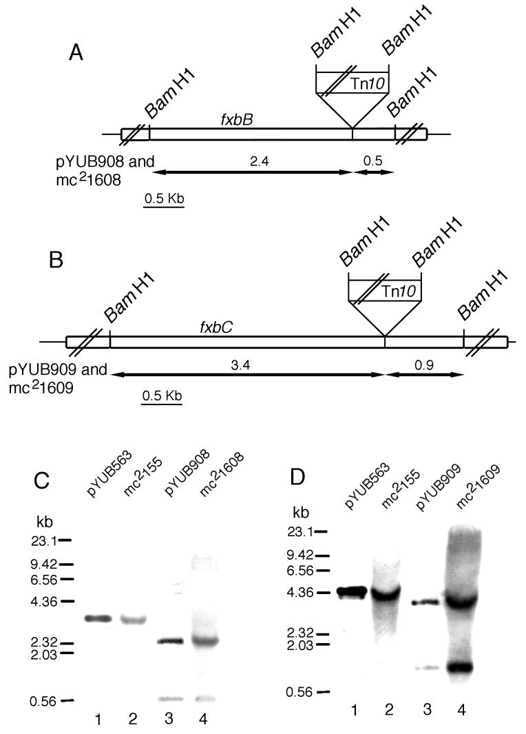 FIG. 4