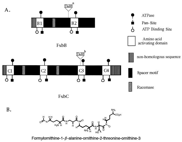 FIG. 7