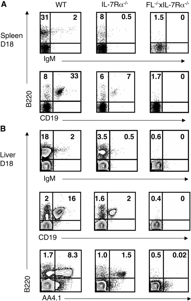 Figure 6.